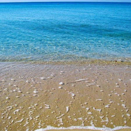 Casa Lia-Beach Front Villa Nea Kallikrateia Dış mekan fotoğraf