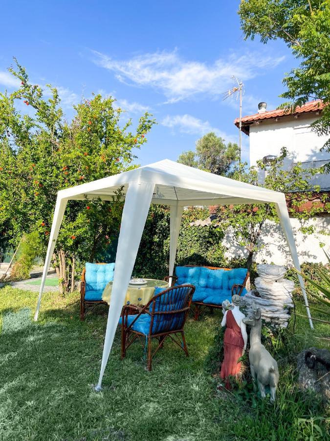 Casa Lia-Beach Front Villa Nea Kallikrateia Dış mekan fotoğraf