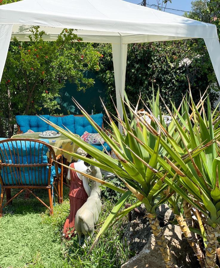 Casa Lia-Beach Front Villa Nea Kallikrateia Dış mekan fotoğraf