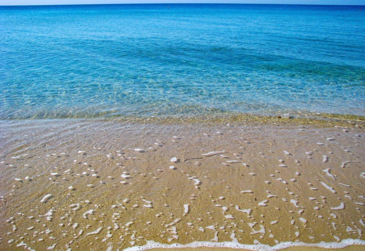 Casa Lia-Beach Front Villa Nea Kallikrateia Dış mekan fotoğraf